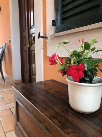 Apartmán Il Giardino Delle Rose Spello Exteriér fotografie