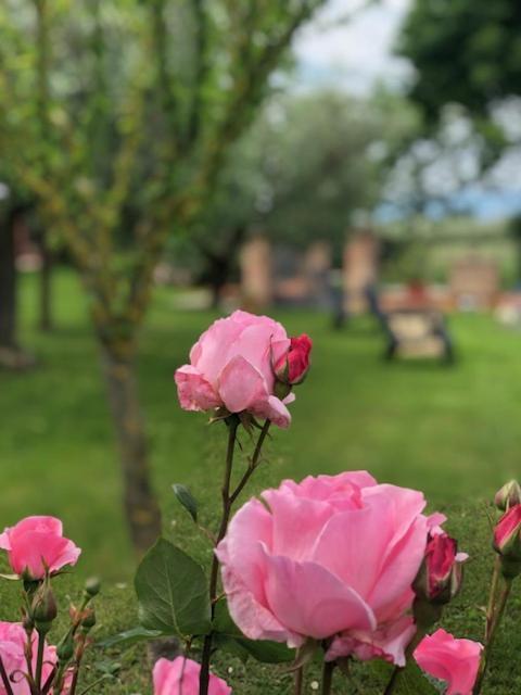 Apartmán Il Giardino Delle Rose Spello Exteriér fotografie